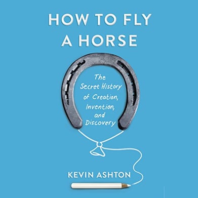 How to fly a horse - cover